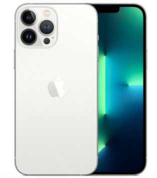 Apple iPhone 13 Pro 256Gb Silver Б/В (Стан 5-) 7599 52706 фото