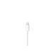 Навушники з мікрофоном Apple EarPods with Lightning Connector (MMTN2) 18291 фото 2