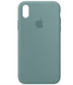 Накладка Silicone iPhone XR Cactus 45267 фото