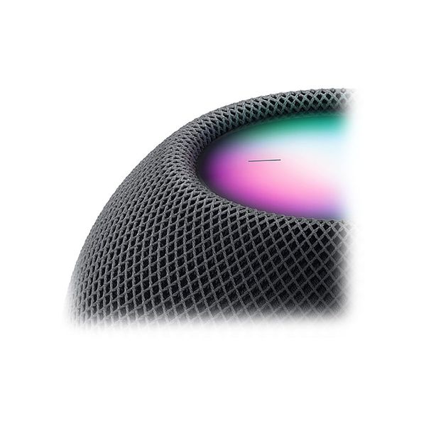 Apple HomePod mini Space Gray (MY5G2) 32898 фото