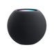 Apple HomePod mini Space Gray (MY5G2) 32898 фото 1