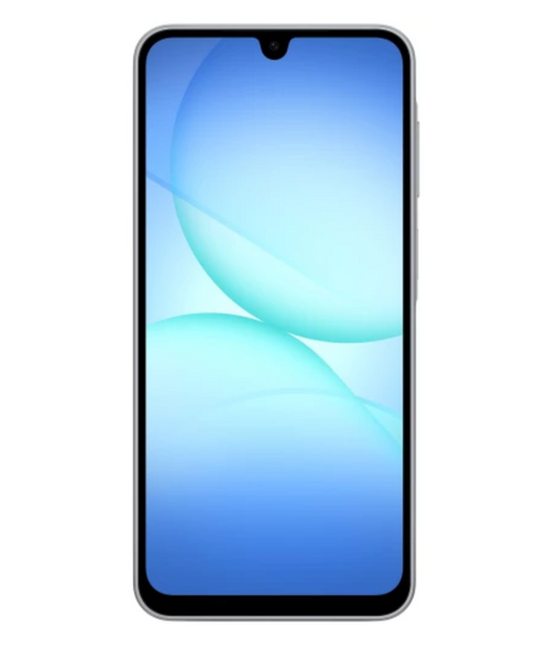 Samsung Galaxy A17 8/256Gb Gray 51821 фото