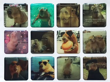 Набір наклейок 3D STICKERS Capybara 2 52181 фото