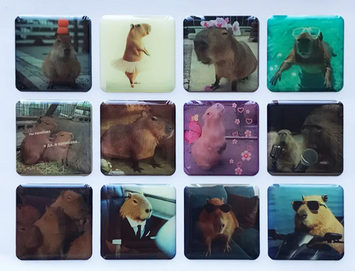 Набір наклейок 3D STICKERS Capybara 3 52182 фото