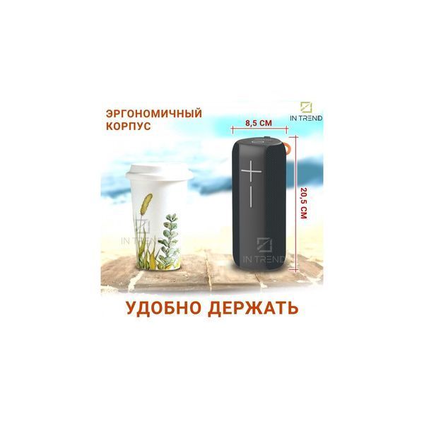 Bluetooth колонка Hopestar P14 Pro Black 32530 фото